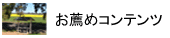 ���E�߃R���e���c