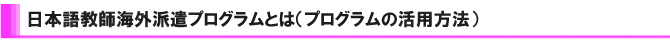 ���{�ꋳ�t�C�O�h���v���O�����Ƃ�