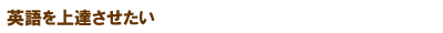 �p�����B��������