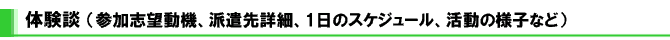 ニュージーランドで日本語教師海外派遣 プログラムの体験談