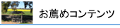 お勧めコンテンツ