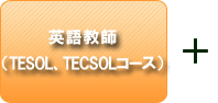 英語教師（TESOL、TECSOLコース）