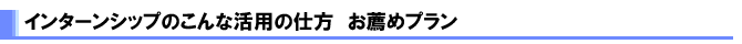 有給インターンシップのこんな活用の仕方　お薦めのプラン