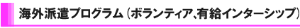 日本語教師海外派遣プログラム　お申込