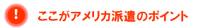 アメリカで日本語教師海外派遣プログラムのポイント